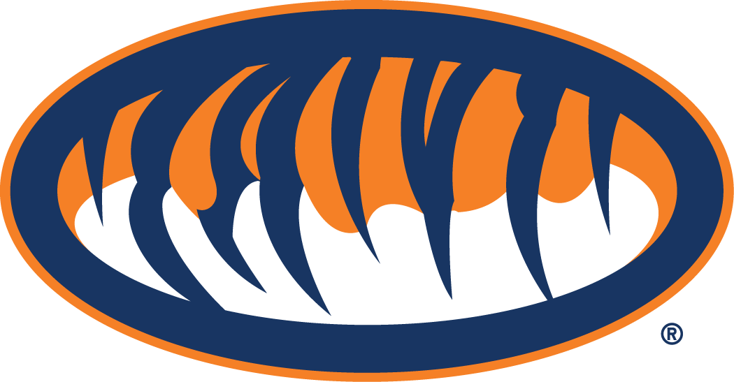 Auburn Tigers 1998-Pres Alternate Logo v2 DIY iron on transfer (heat transfer)